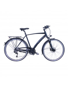 Skanstull Linden Men