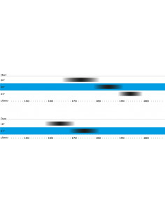 Nishiki City 707 Dam 2