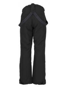 Whistler Drizzle pnt 2