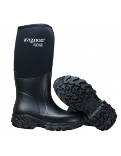 Avignon Ridge High 2