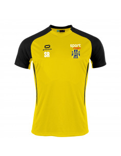 Teamtröja Hallsta IK