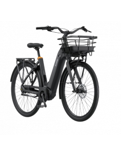 Ecoride Ambassador 4 Mittmotor 2