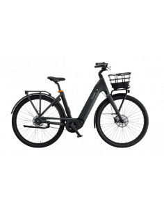 Ecoride Ambassador 4 Mittmotor