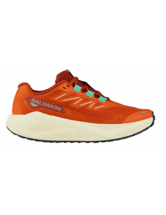 Salomon Aero Blaze 3 GRVL W